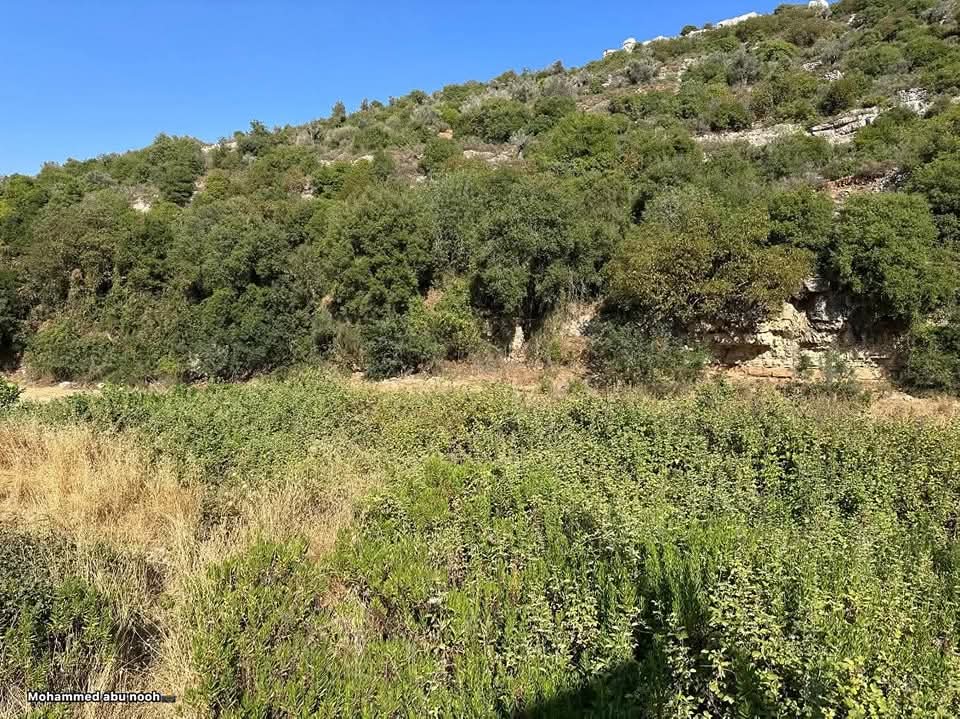 رام الله | موسوعة القرى الفلسطينية